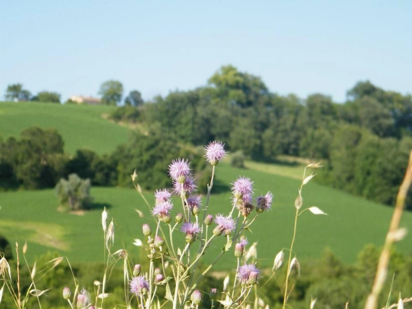 Agriturismo Biologico la Casa degli Gnomi