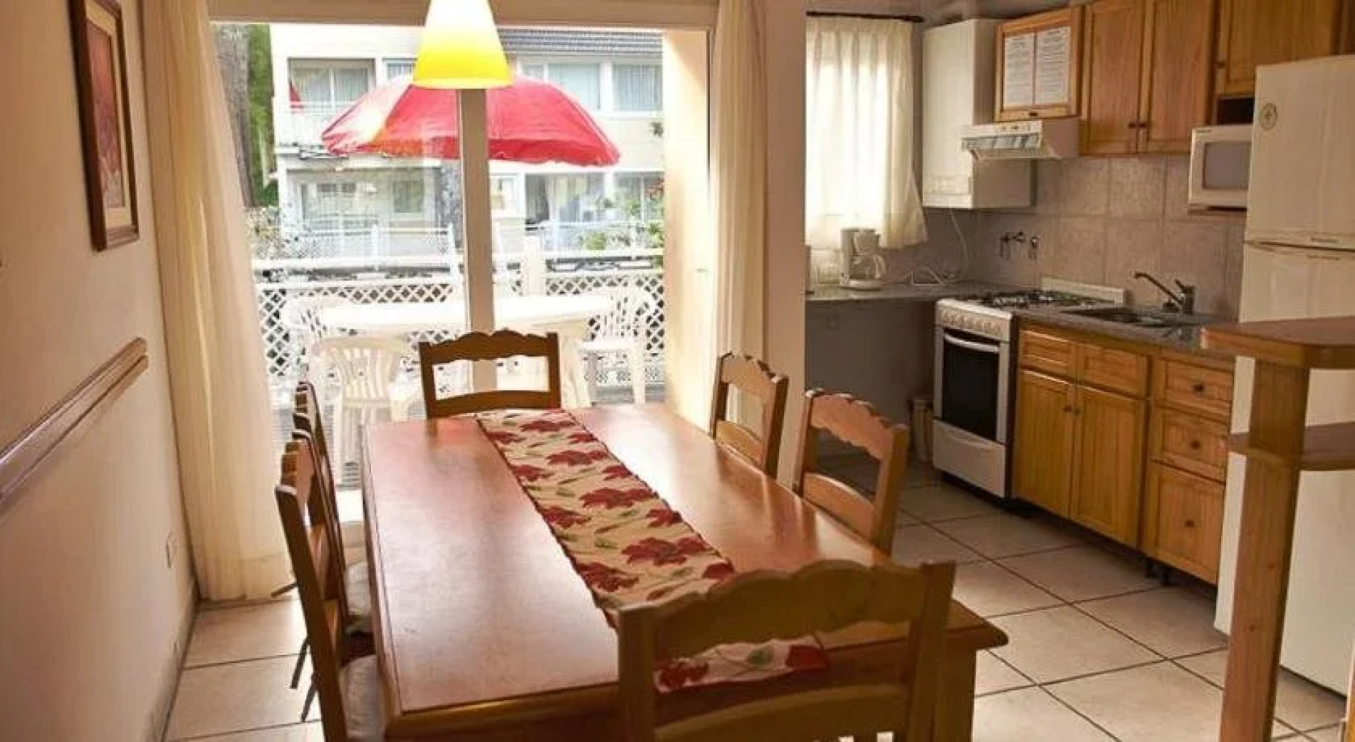 Arbol del Cielo Carilo