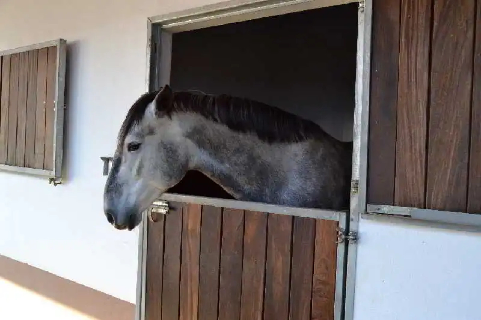 Solar do Espirito Santo - Turismo Equestre