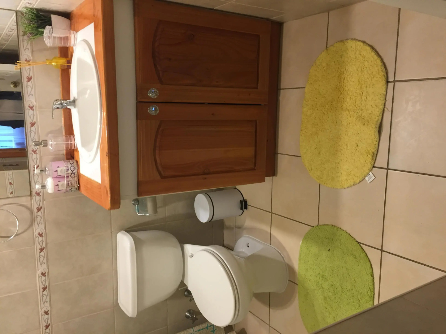 Peumayén Departamento Pucón
