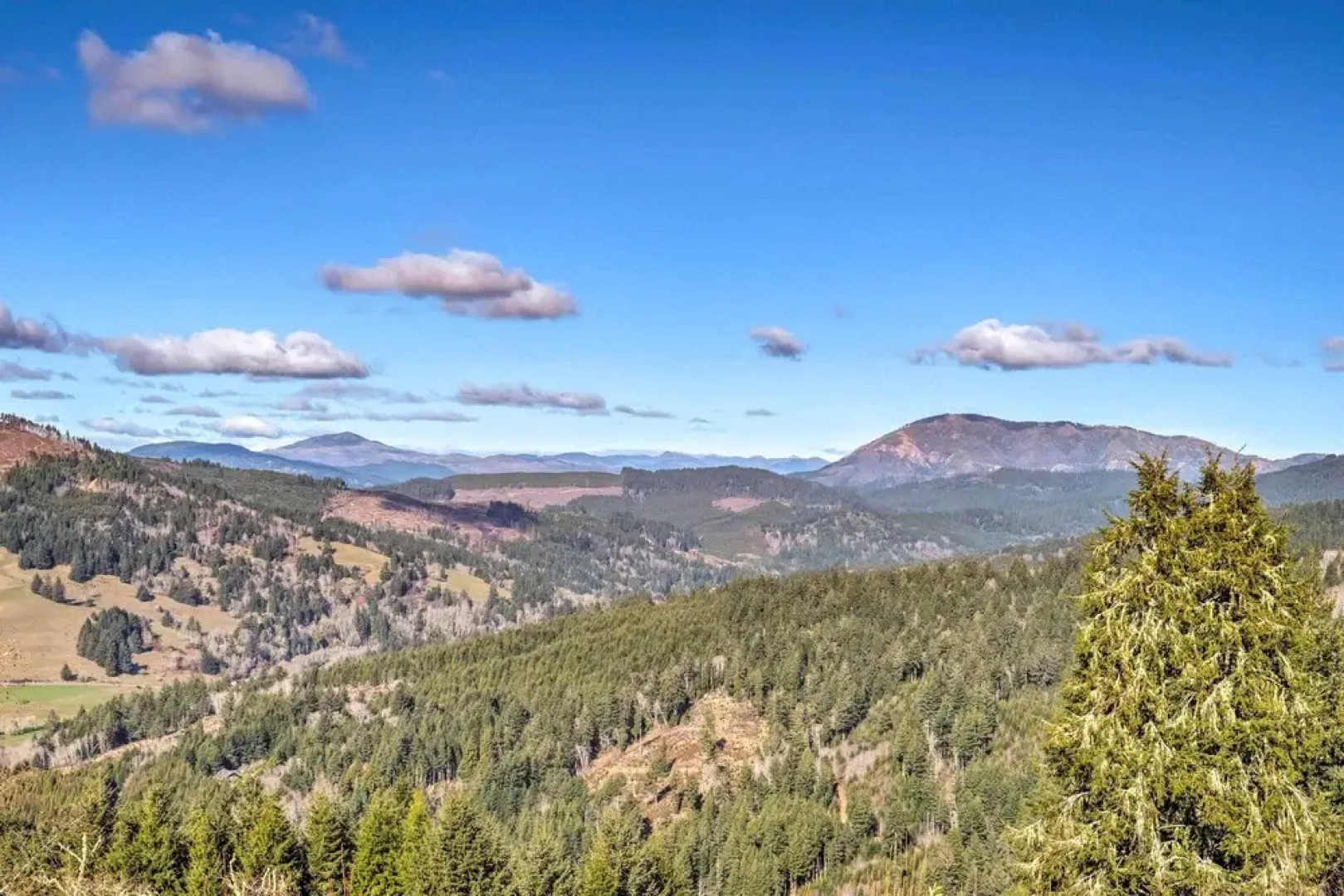 Stunning 360 Ocean Views, Near Redwoods NP!