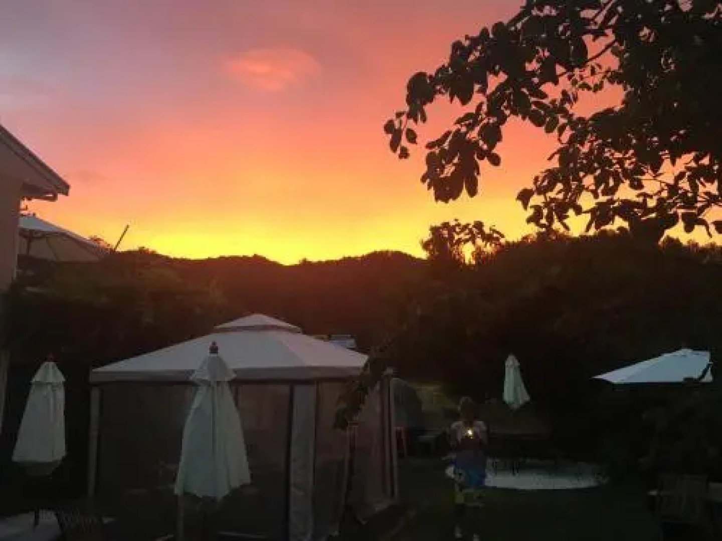 The Lazy Cow Backpackers