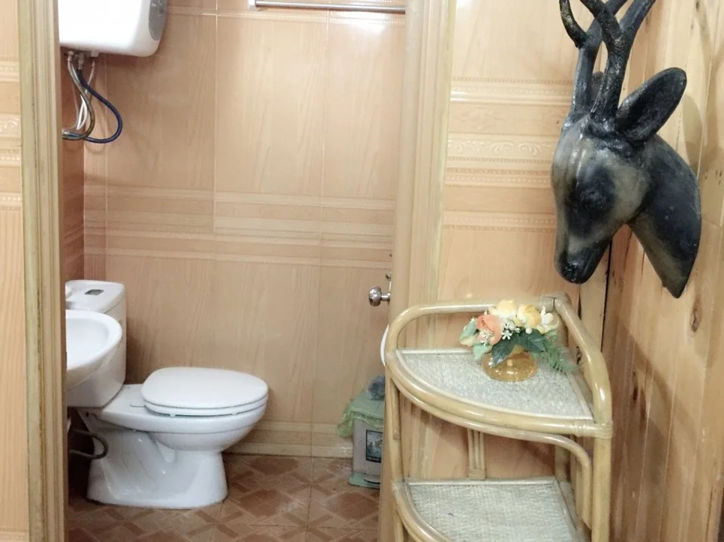 Cat Ba Mountain View