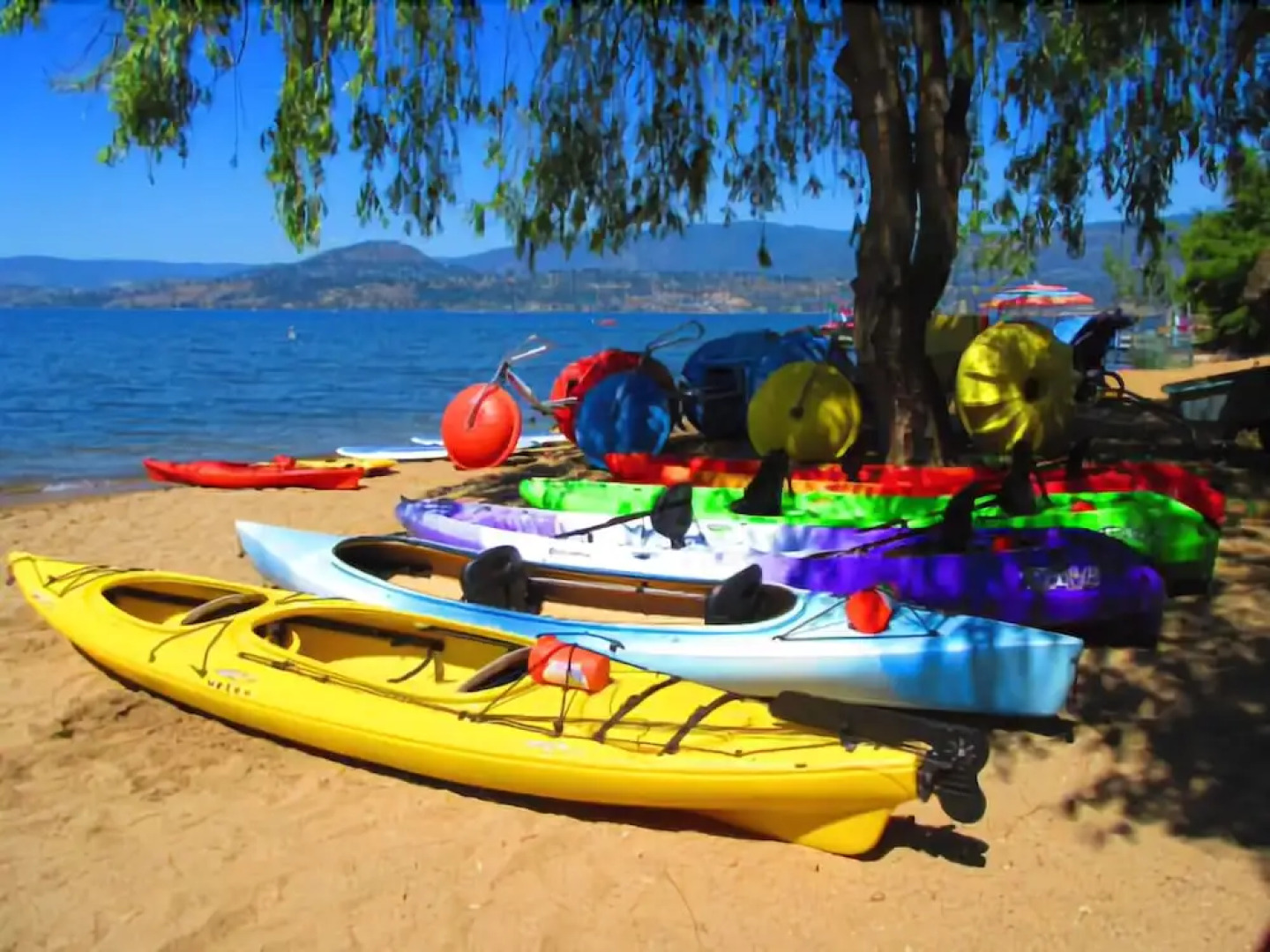 Boyce-Gyro Beach Bed and Breakfast