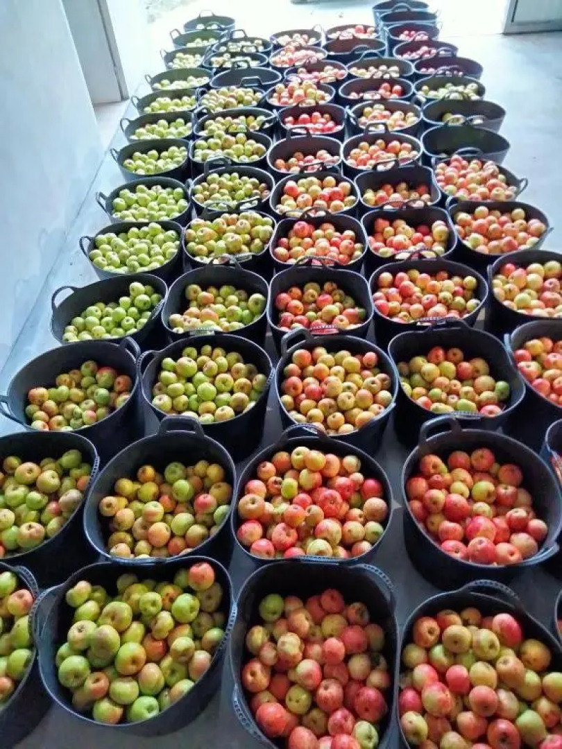 Agroturismo Erlete Goikoa