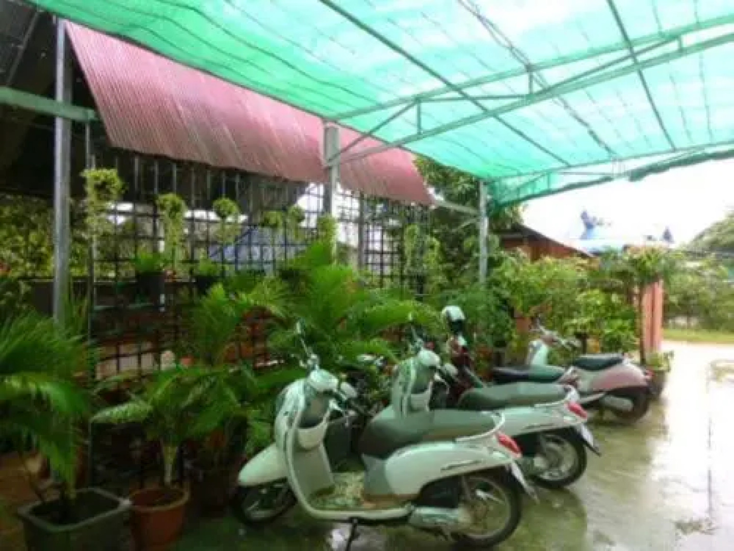 Mitapheap Guesthouse