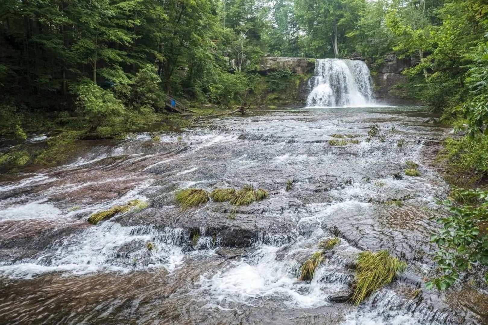 Tentrr - Purling Waters at Tumblin' Falls - Campsite