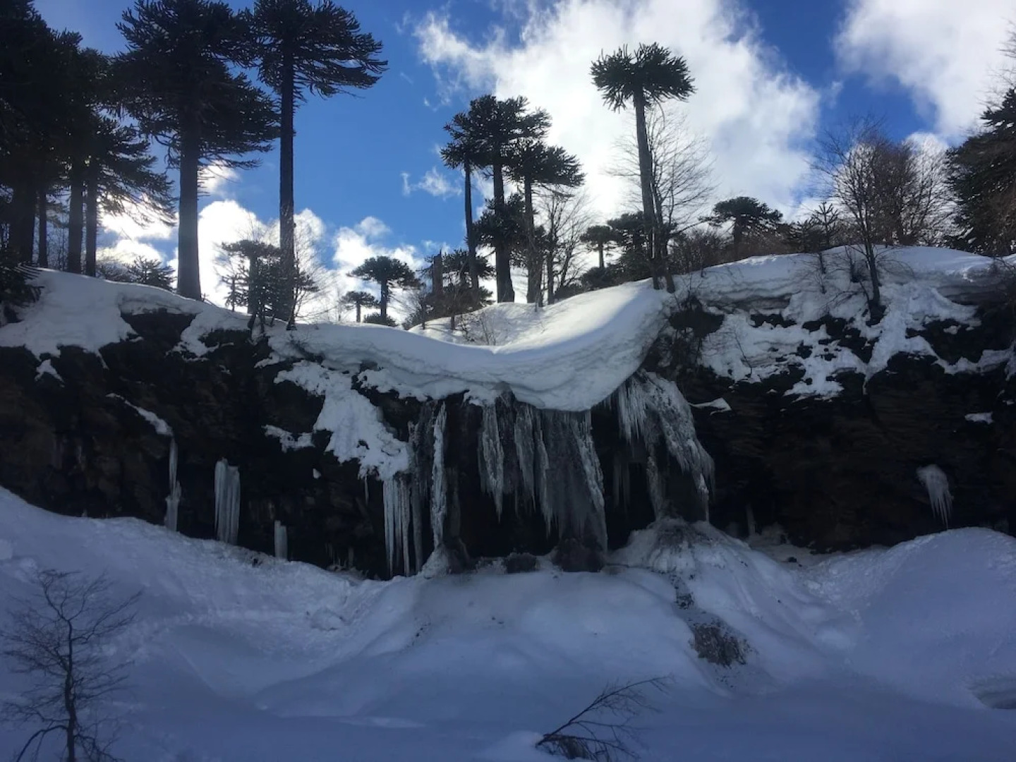 Lodge Tikilen Caviahue