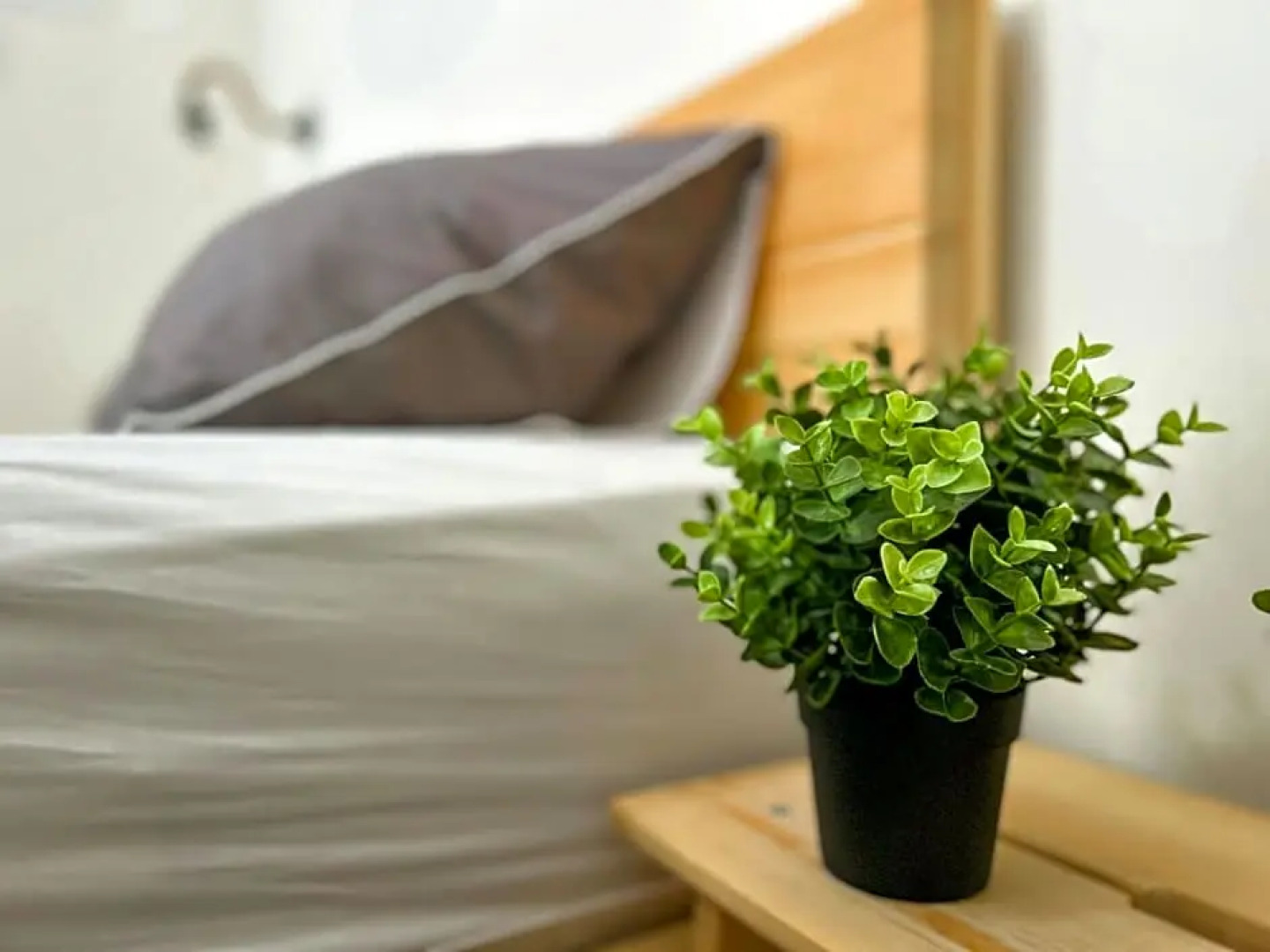 Gilboa cliffs- boutique suite