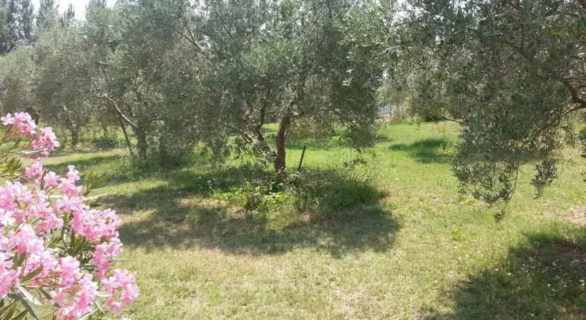 Les Maisons dEstelle