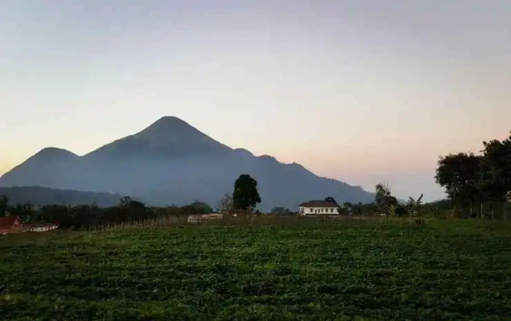 OYO 309 Avila Ketapan Rame Hotel