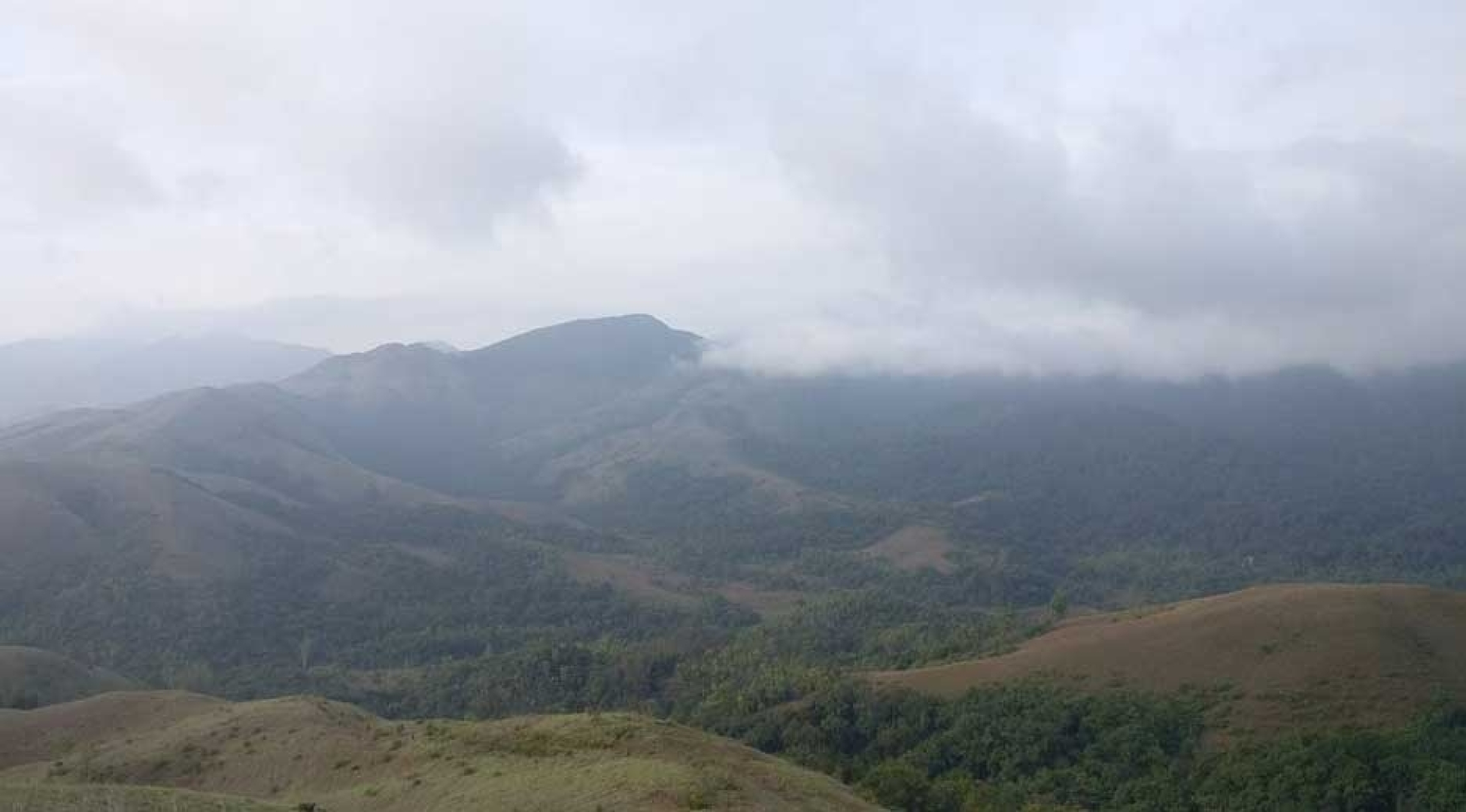 Bhagawathi Nature Camp by Jungle Lodges