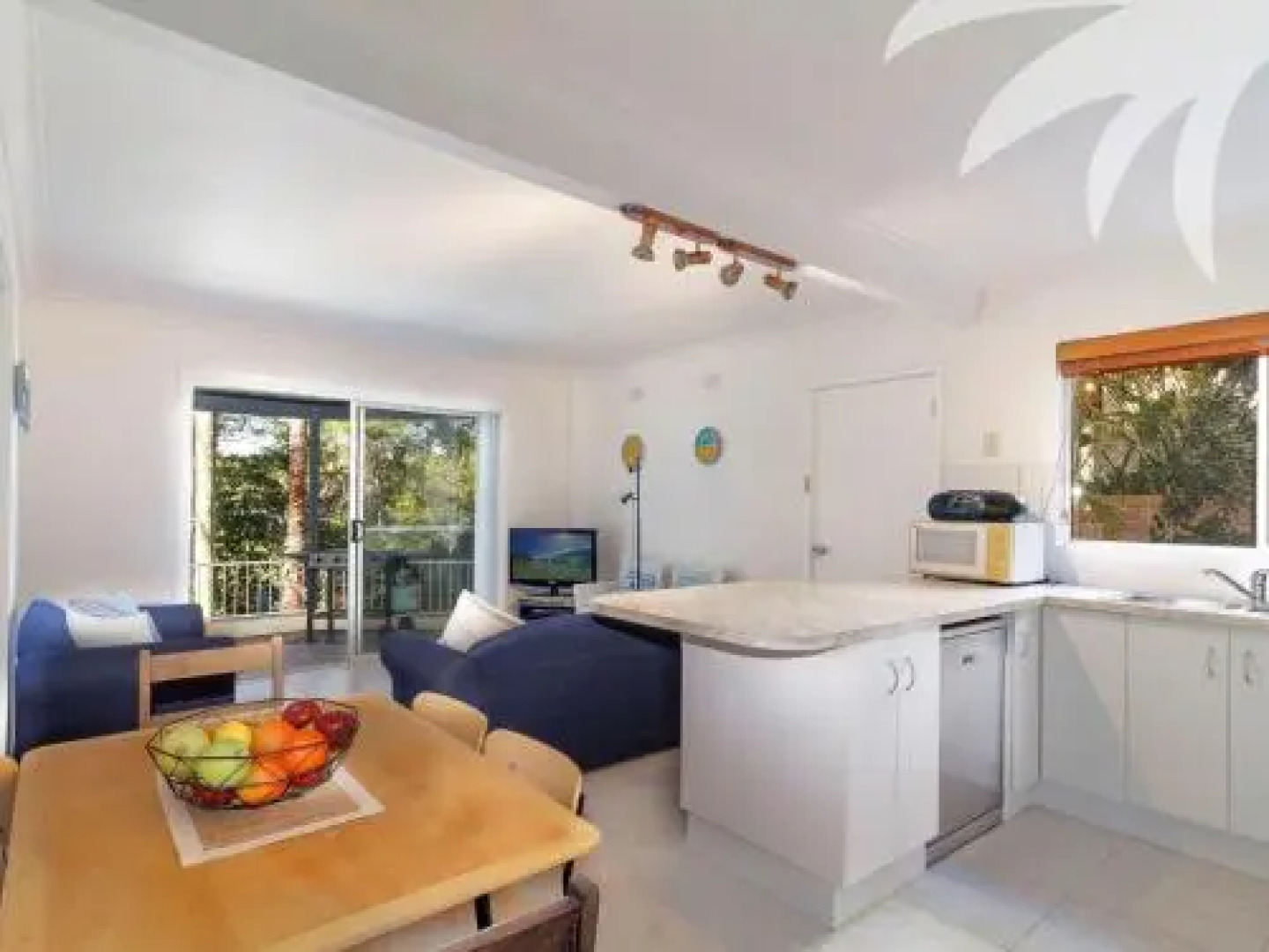 Picture perfect Lizzie Palms 2