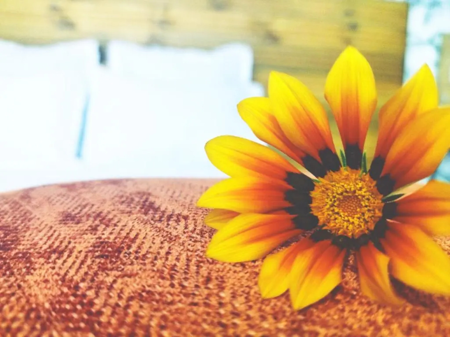 The Seven Motel Salazie à 15 min d'hell bourg