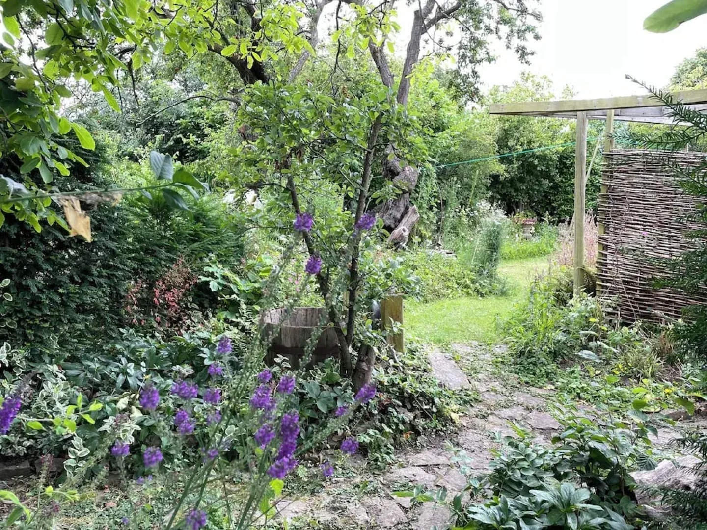 15th Century 3 Bedroom Cottage & Delightful Garden