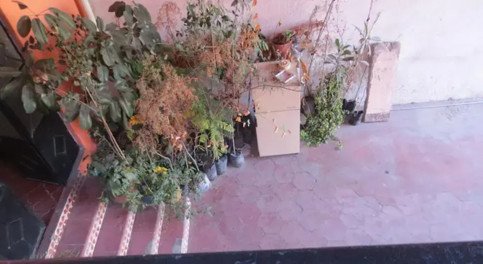 Posada Flores