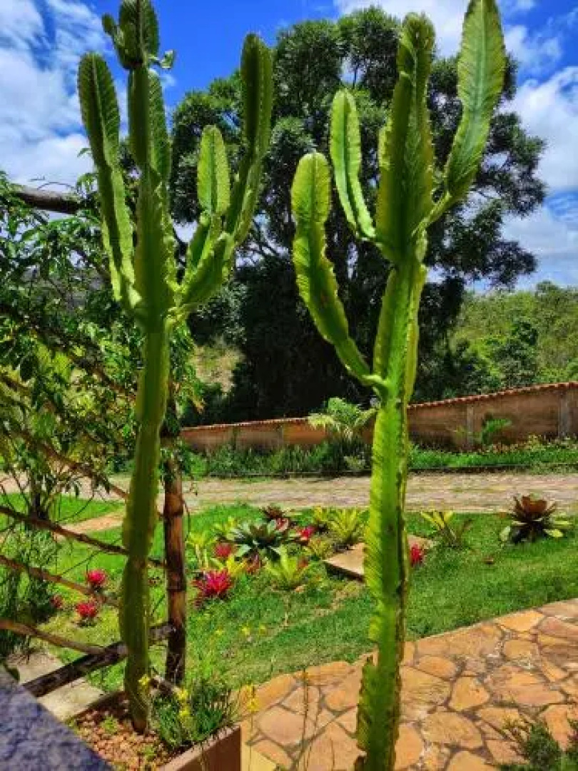 Villa Magna - Apartamento Paz das Montanhas