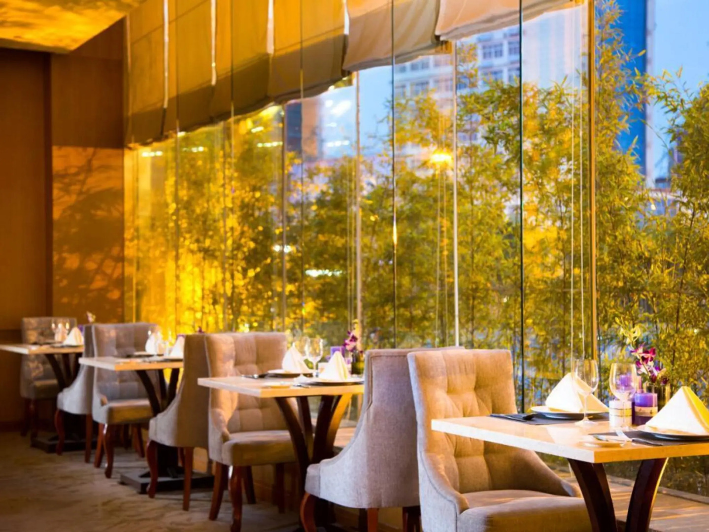 The Grand Plaza Hotel