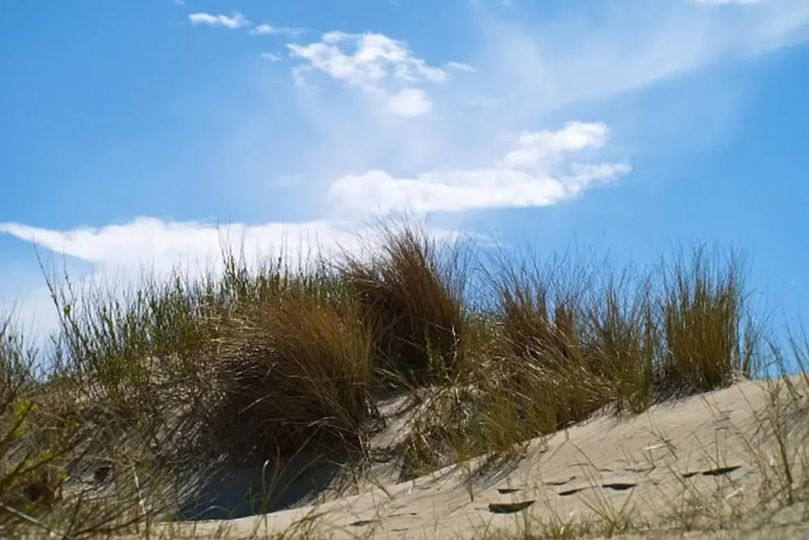 Doppelhaus in Oldsum auf Foehr