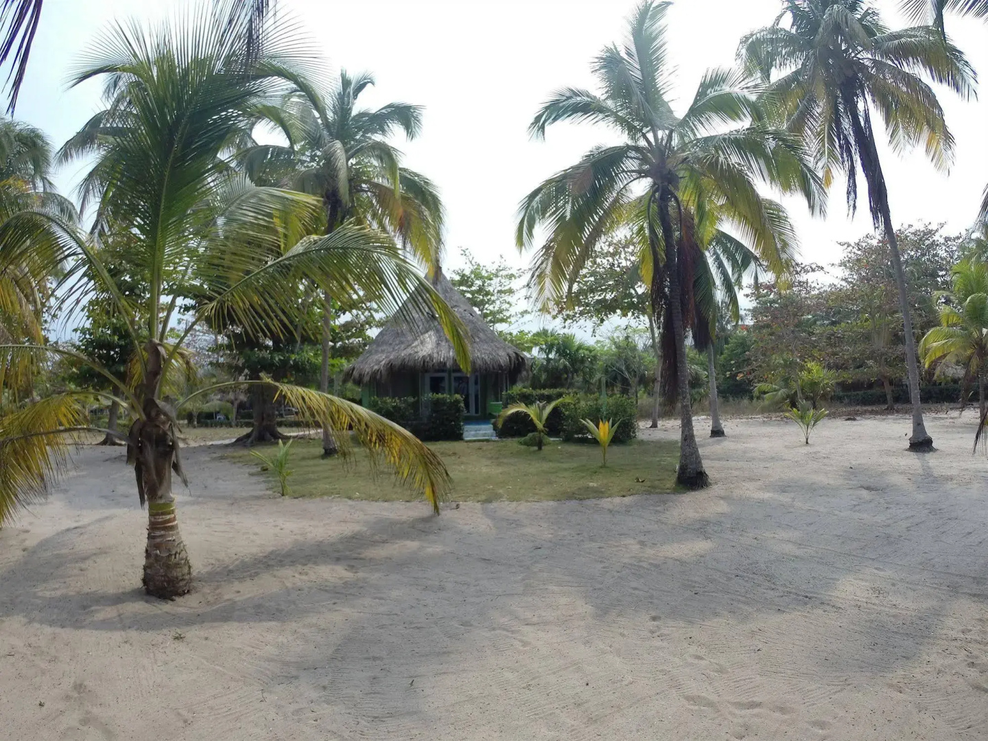 Hotel Playa Mandala