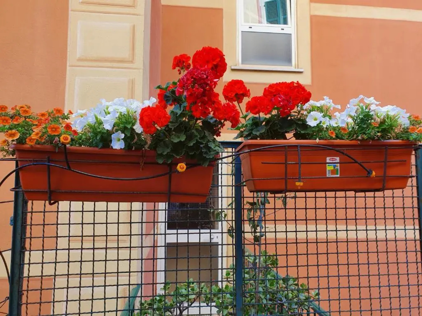 Open space con giardino vicino mare 010007-LT-0081