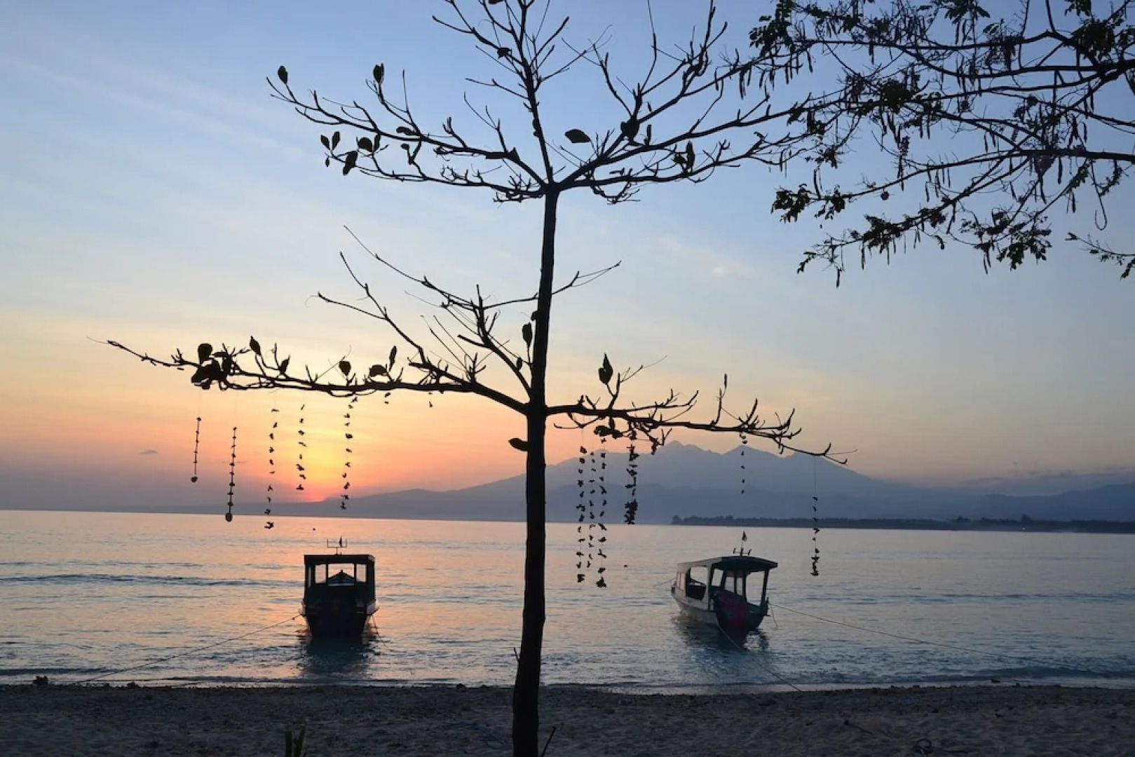 The Rabbit Tree - Hostel