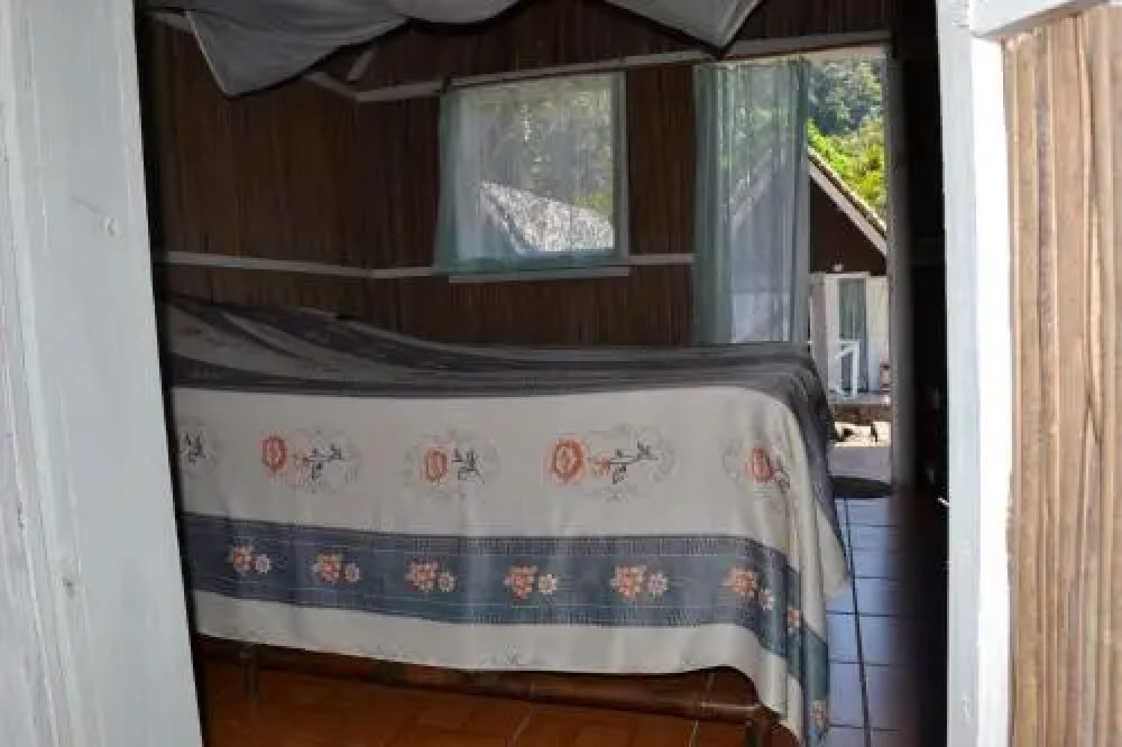 Fôret Austral Ranomafana- Fianarantsoa