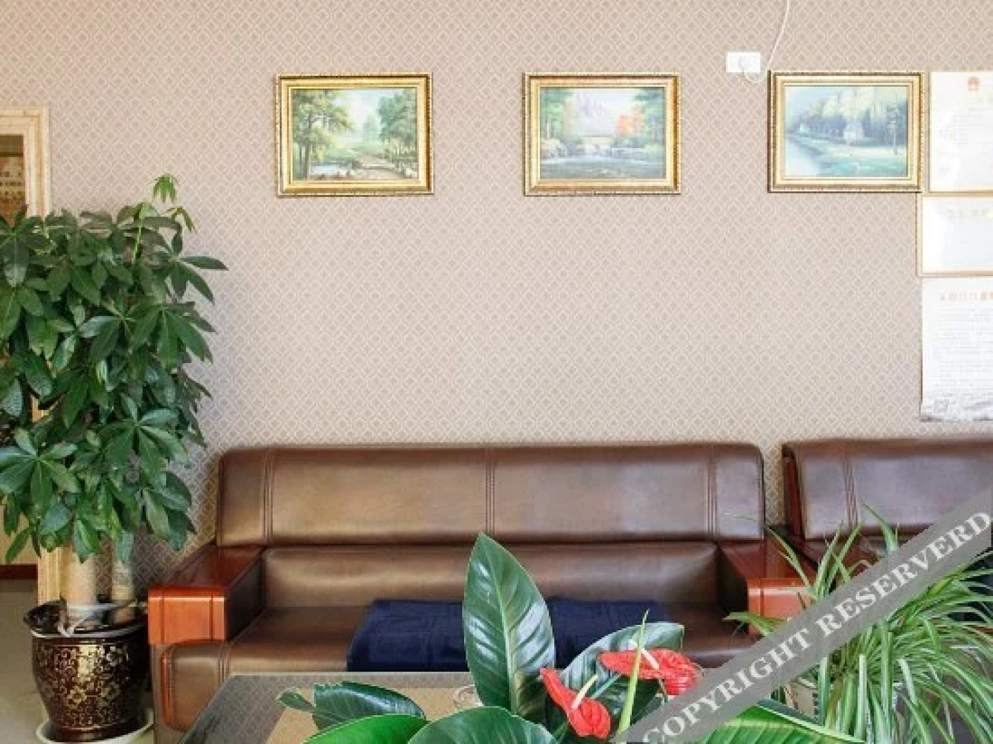 Sun Moon Lake Business Guesthouse