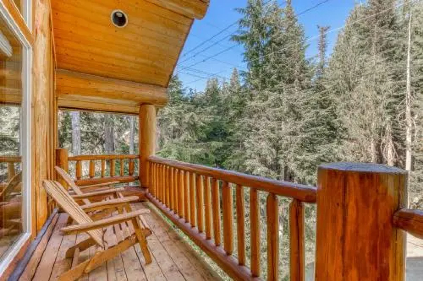 Skiing Bear Chalet