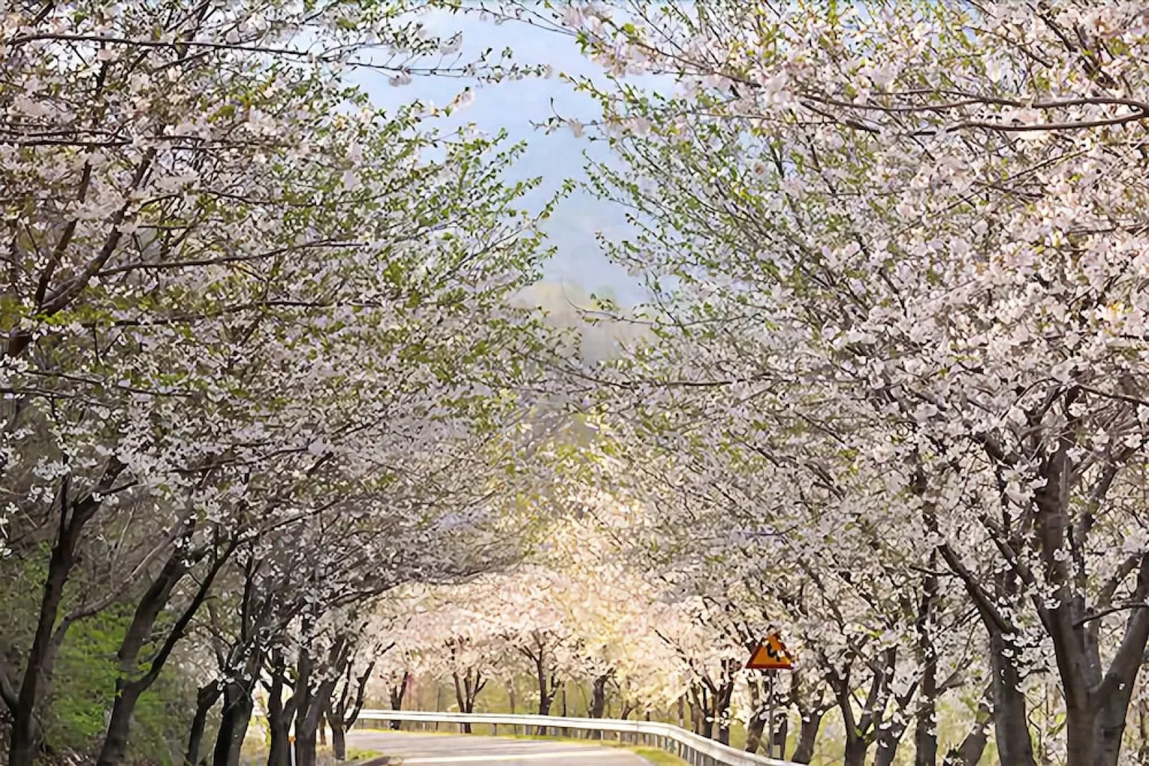 Yeongju Pusoksa Maple Road Pension