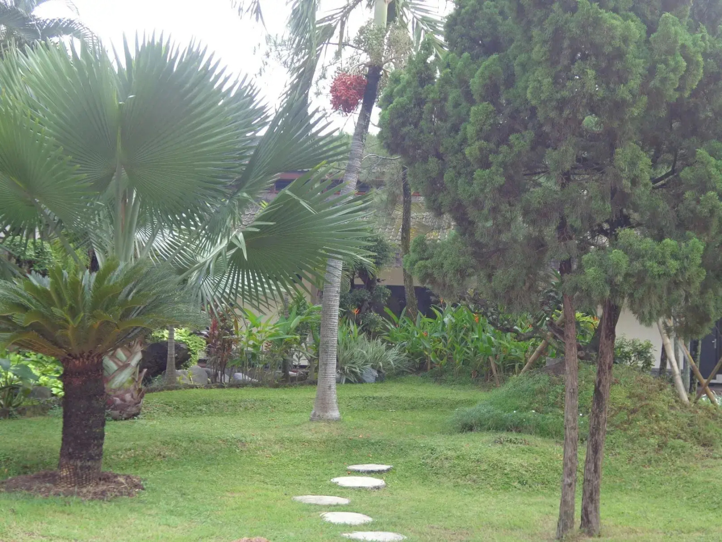Insumo Palace Hotels & Resorts
