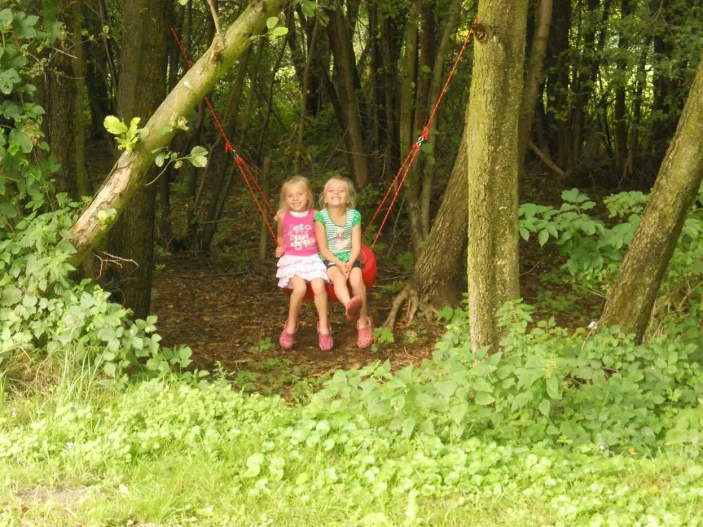 Agroturystyka Borówka