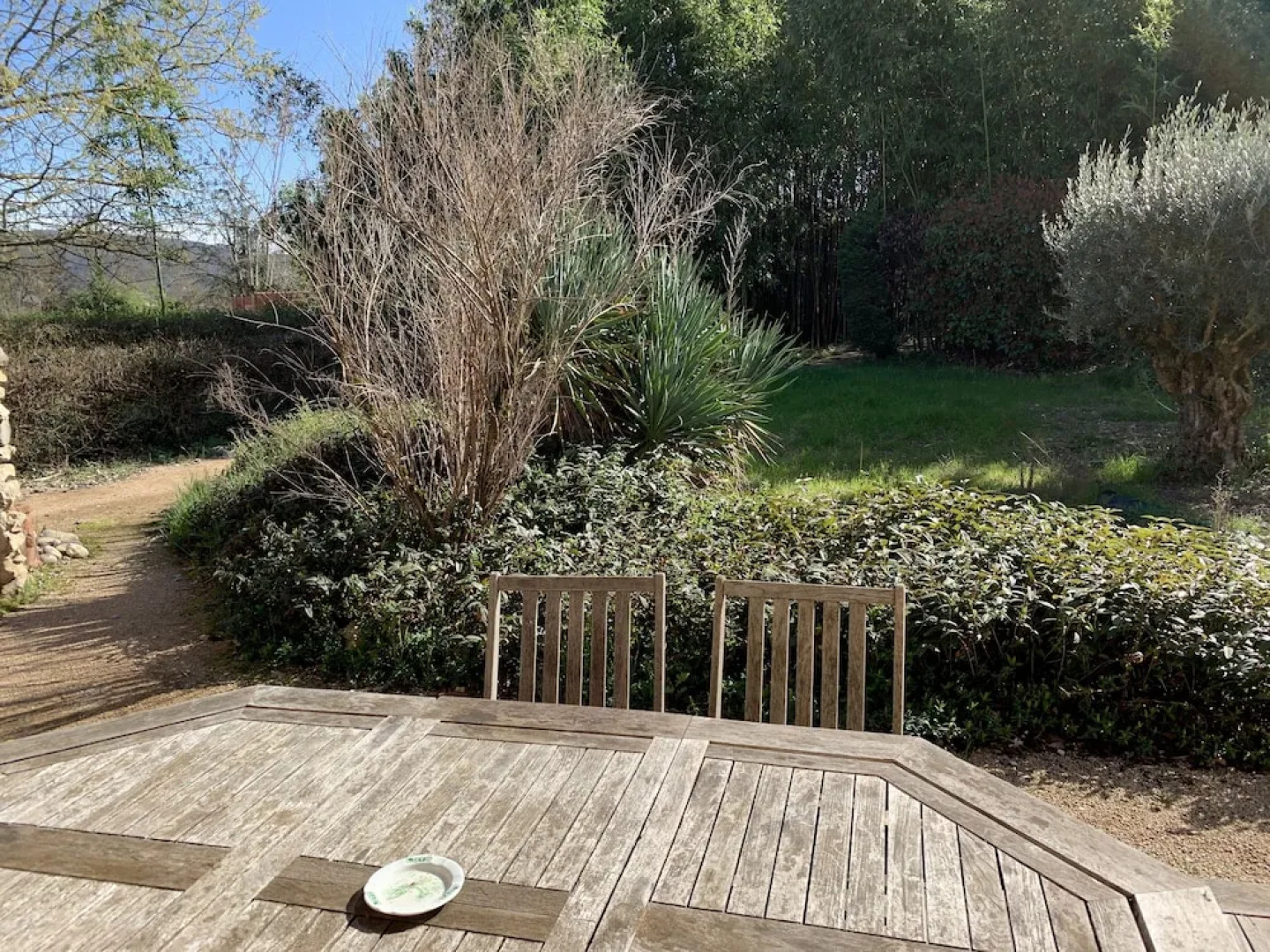 Puravida Lodge and Apparts