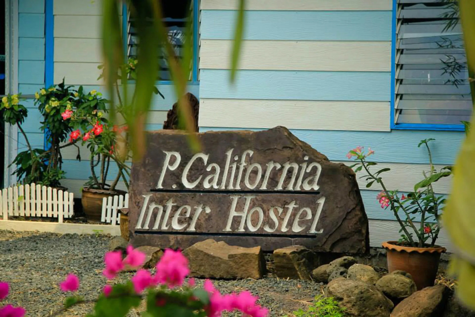 P California Inter Hostel