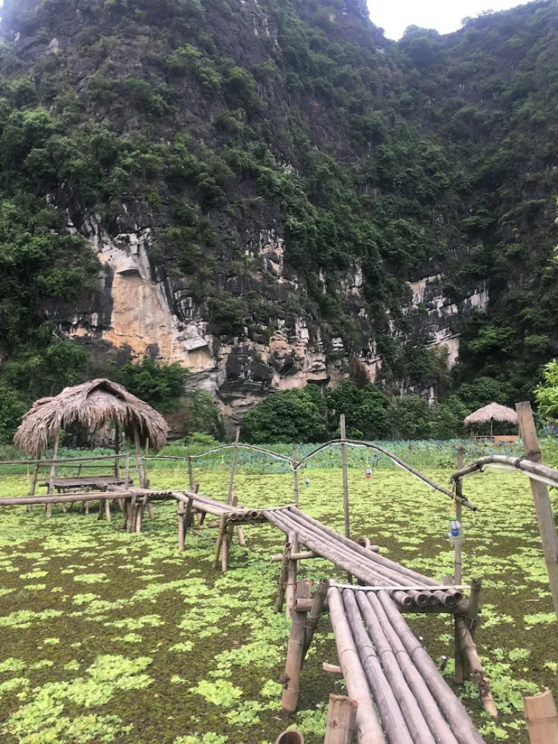 Trang An Flower Hotel