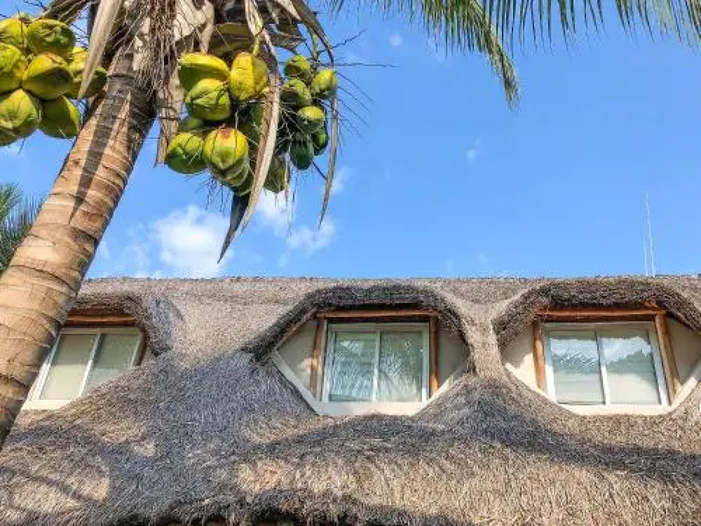 Dreamcatcher Lodge