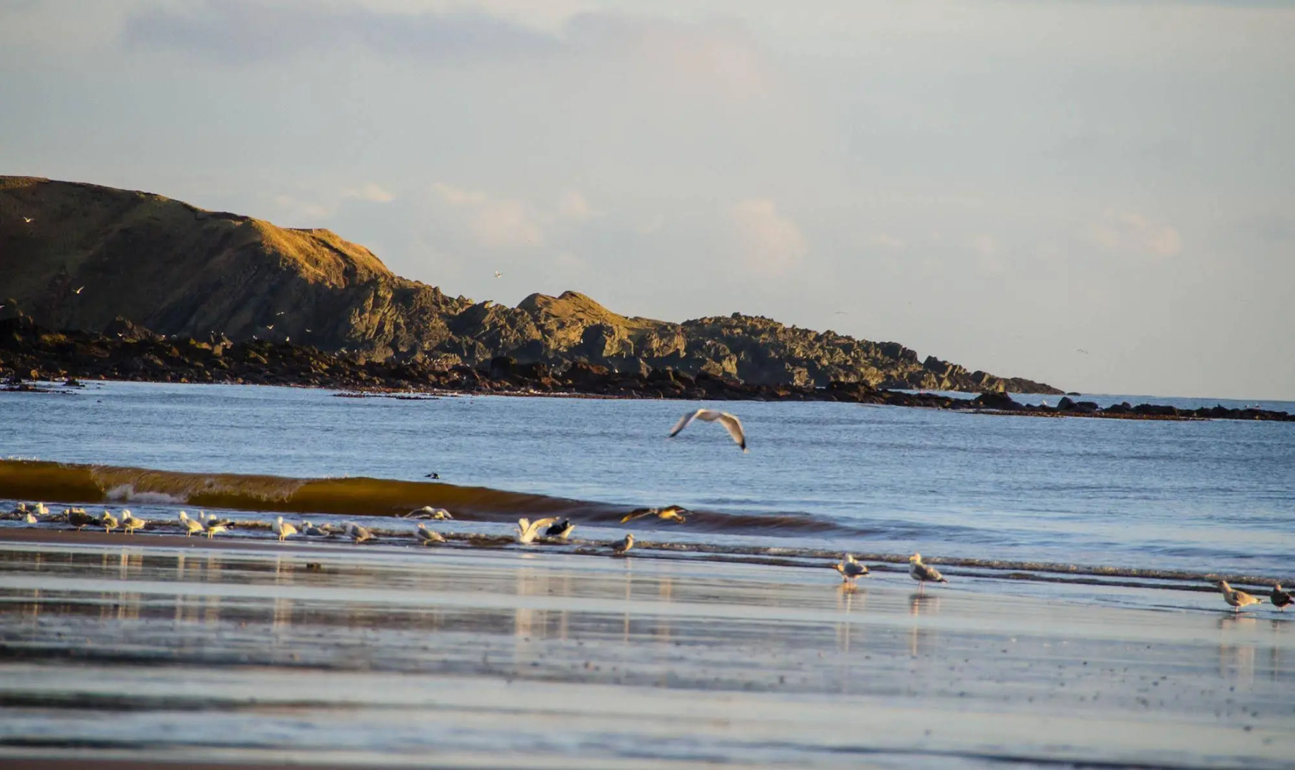 The Mill Inn Apartments