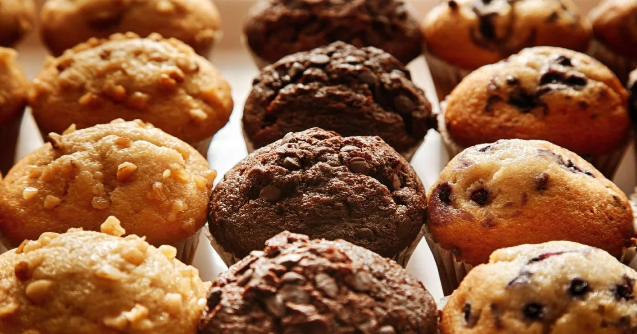 Best Western Plus Gilbert/Mesa