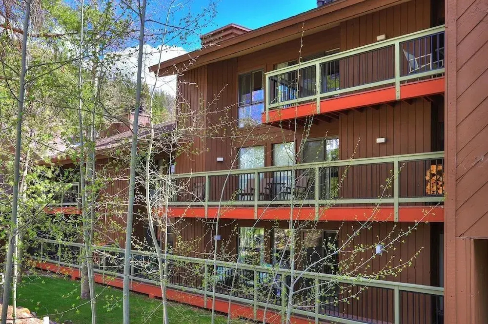 1036 Wild Irishman by RedAwning