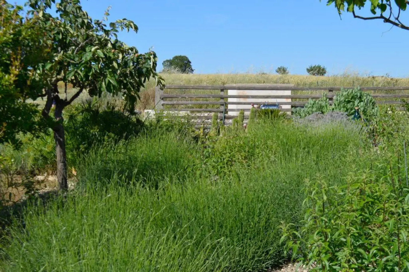 Bed & Breakfast Villa Lavanda