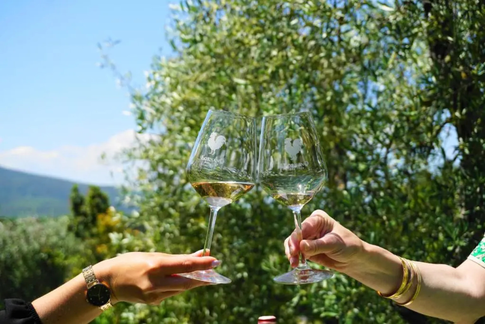 Fattoria Lornano Winery