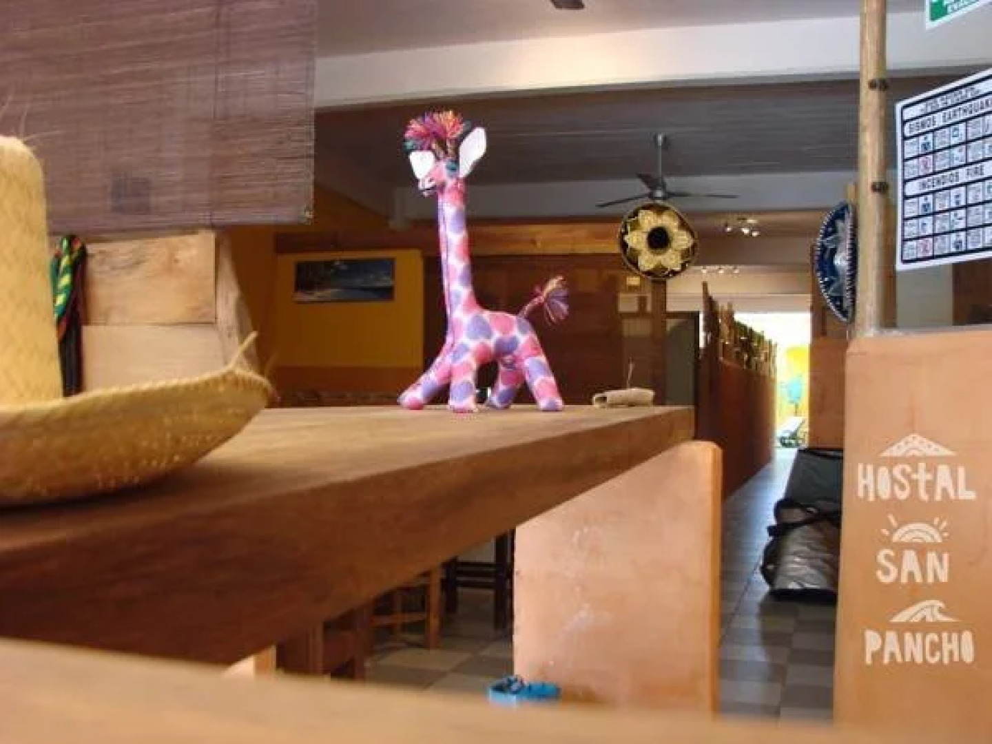 Hostal San Pancho - Hostel