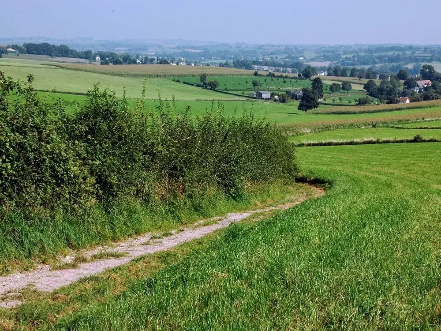 Spacious Apartment in Schin op Geul Near the River