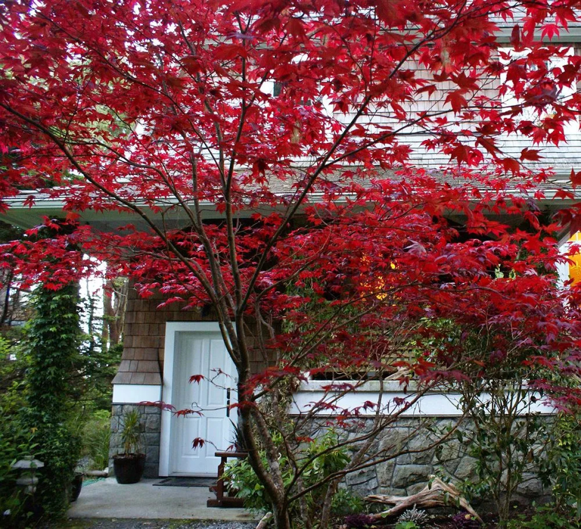 BriMar Bed and Breakfast