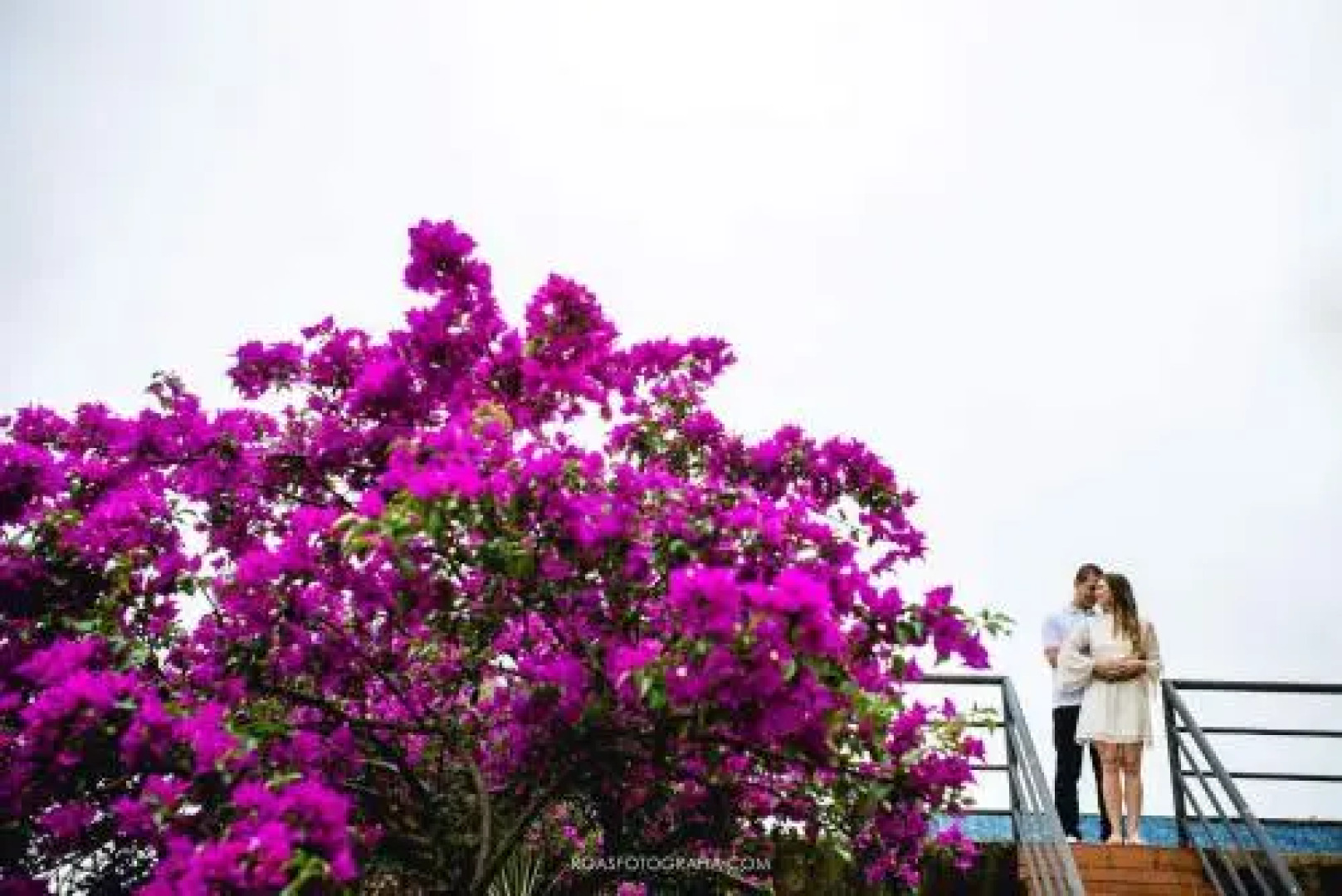 Hospedagem Sol e Mar