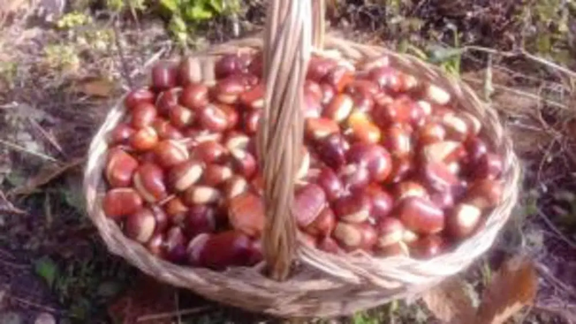 Chalet with 2 Bedrooms in Giarola, with Wonderful Mountain View And Furnished Terrace - 25 Km From the Slopes