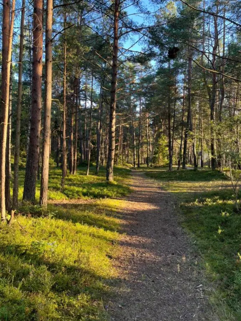 Albatross Beach Apartment - SPA, Sea and Forest