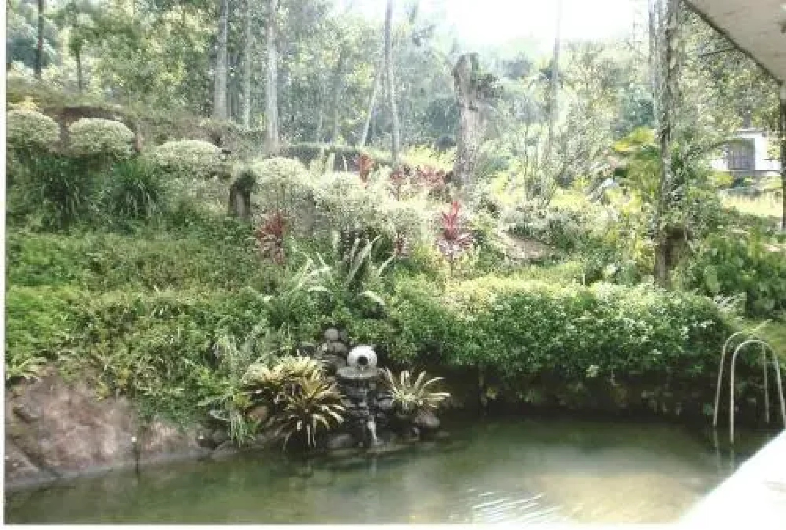 Cool Spring Rest Guesthouse