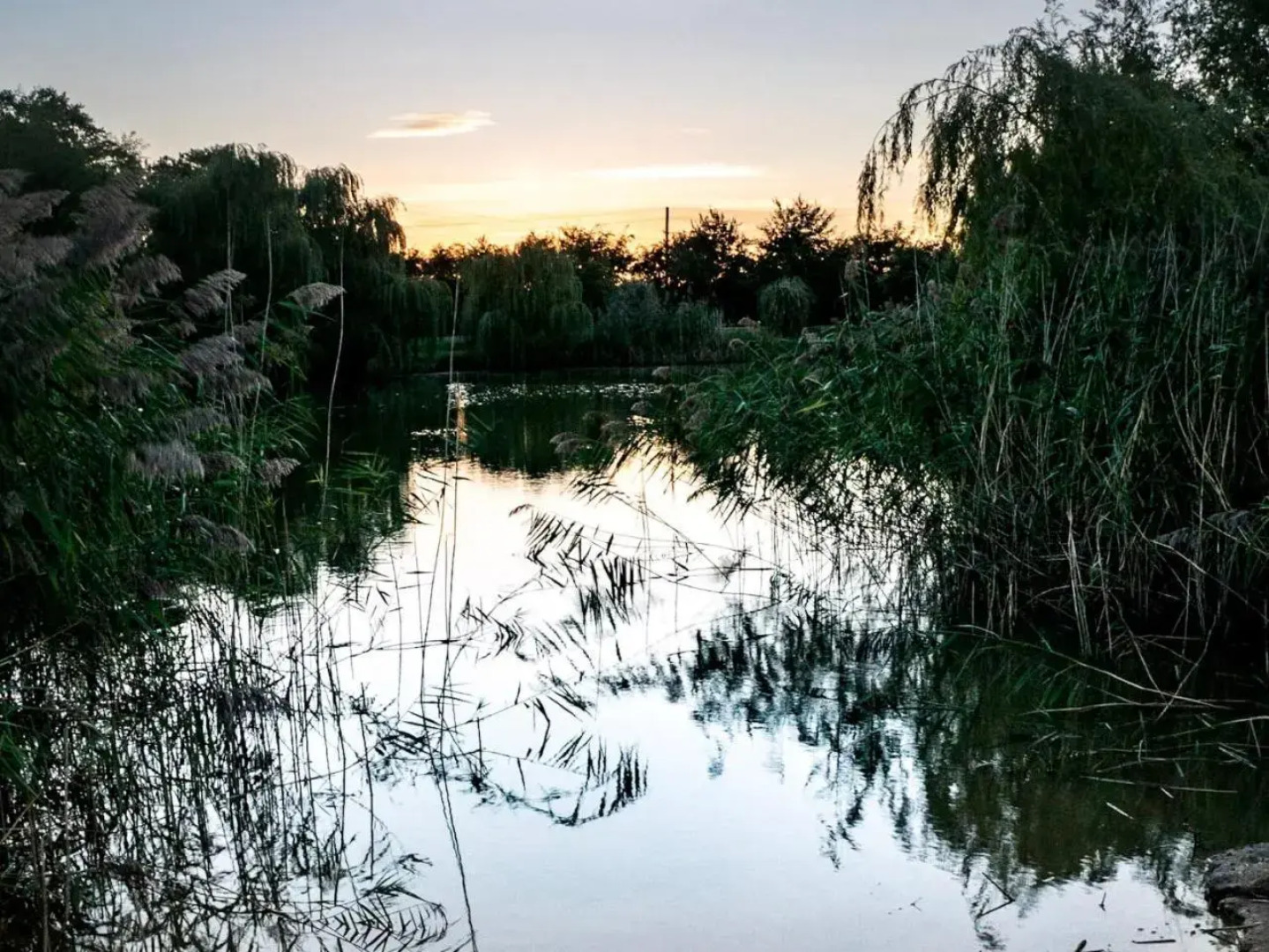 No. 6 Lake View Lodges