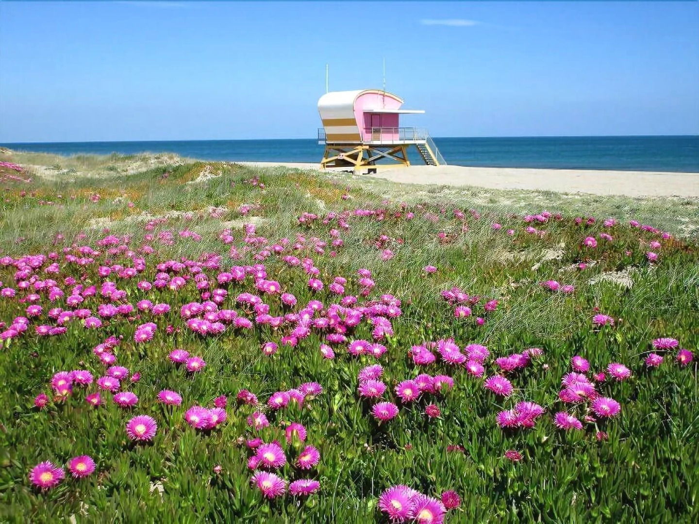 Tipi Lounge and breakfast